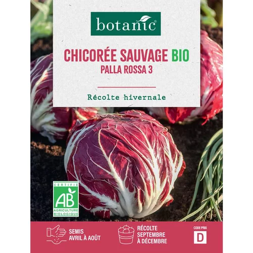 Graines de chicorée sauvage palla rossa 3 bio botanic® - graines à semer