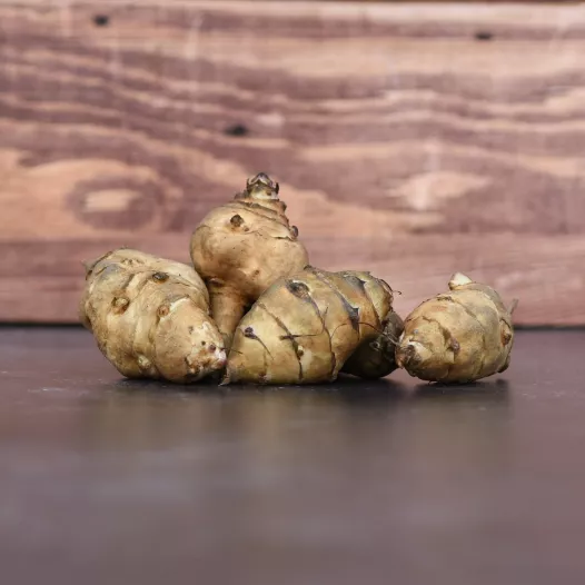 Plants bio : Topinambour Commun - 10 tubercules