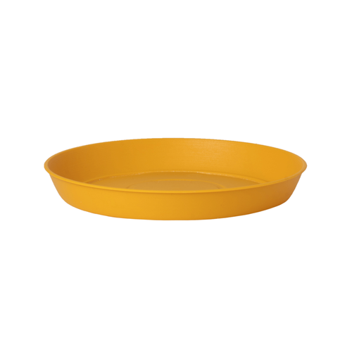 SOUCOUPE RONDE 'JOY' POETIC - ∅30CM - CURCUMA