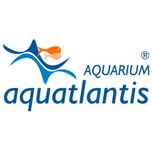 Support Biobox, spécifique pour Nº2/3 - AQUATLANTIS, modèle standard