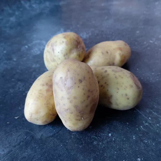 Plants de pomme de terre bio Goldmarie