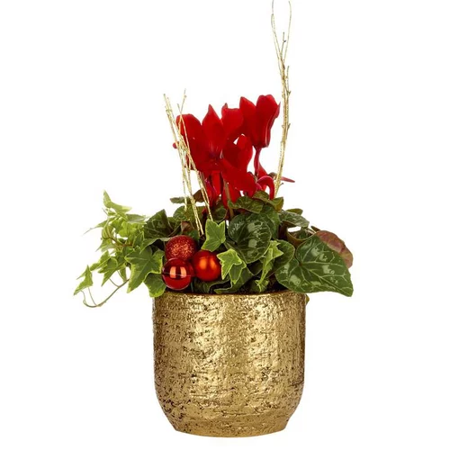 Mini Cyclamen + lierre pot or - Le pot