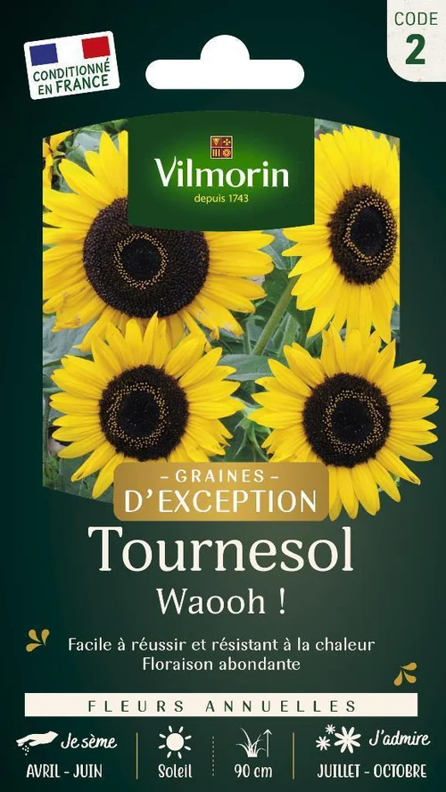 Graines de Tournesol Waooh ! Vilmorin Graines d‘exception - graines à semer
