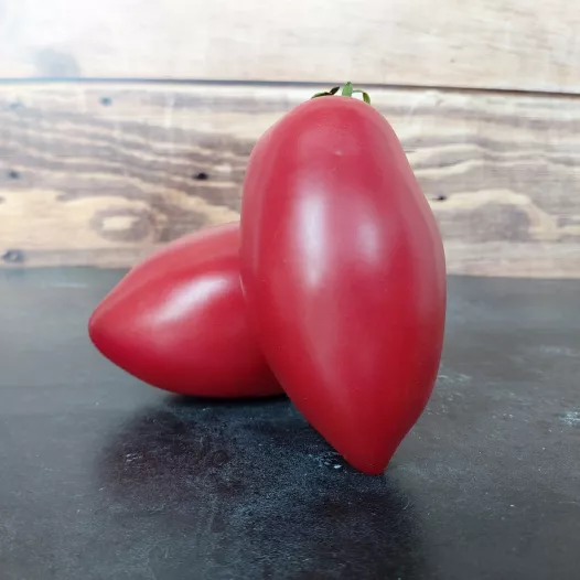 Semences bio et reproductibles de Tomate Rose d'Espellete