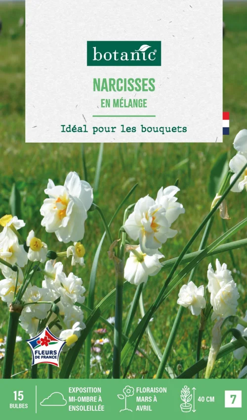 Narcisse en mélange botanic® - 15 bulbes