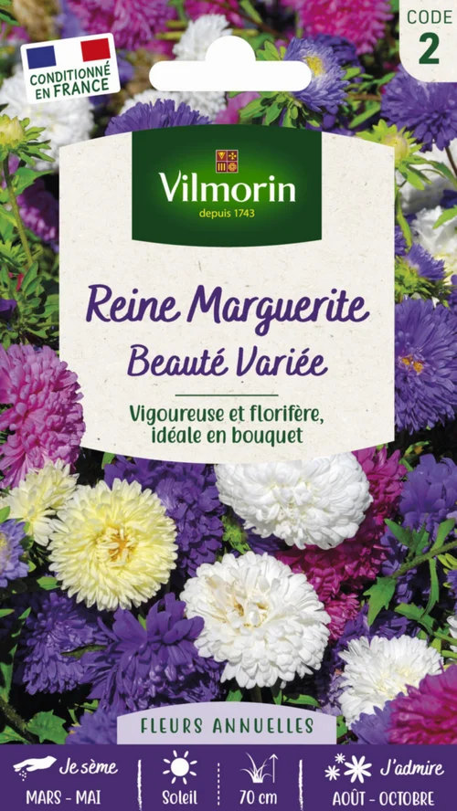 Graines de Reine Marguerite Beauté variée Vilmorin - graines à semer