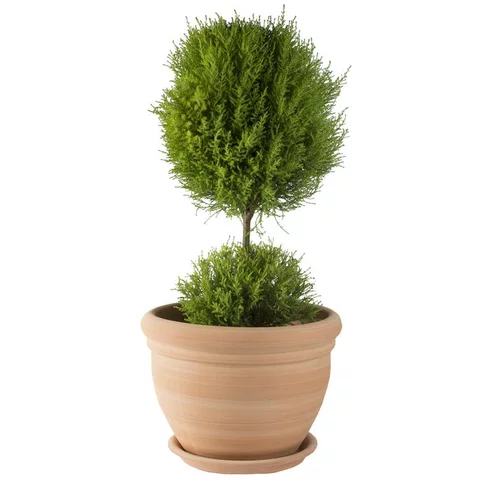 Pot gamme Coco Ø 34 cm