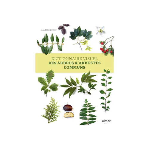 Dictionnaire visuel des arbres et arbustes communs aux Éditions ULMER - 320 pages