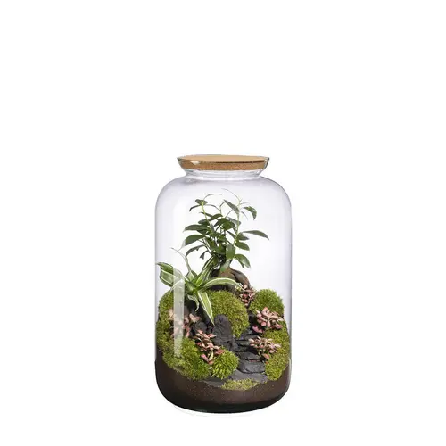 Terrarium autonome Bonbonne Landscape botanic® - taille M