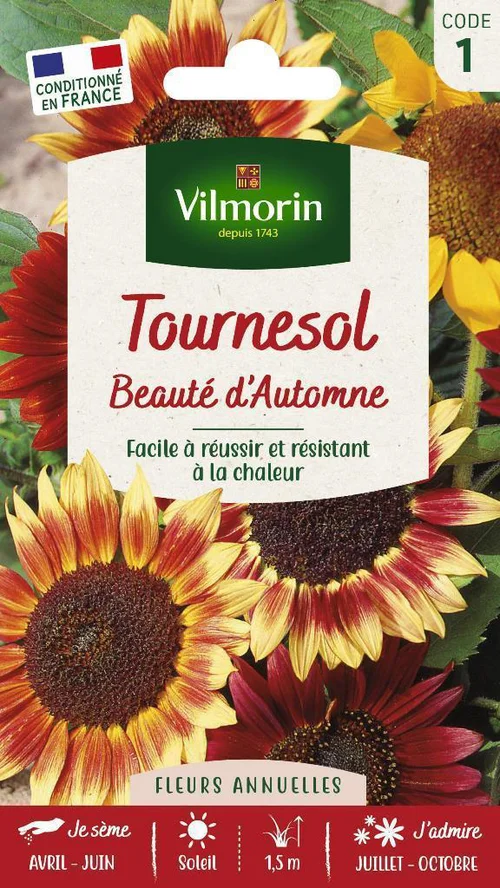Tournesol Beauté d'Automne Vilmorin - graines à semer