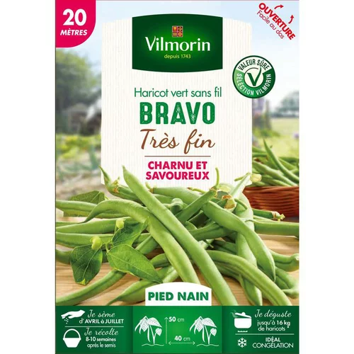 Graines de haricot nain Bravo Vilmorin - graines à semer