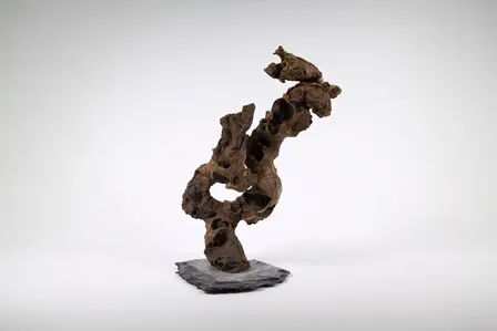 Décoration pour aquarium Aquadeco Congo Tree grand modèle - 35 cm