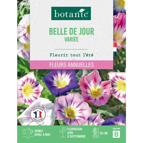 Graines de fleurs Belle de jour variée botanic®