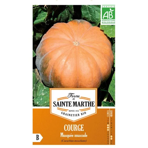 Graines de courge musquée muscade bio Ferme de la Sainte Marthe - graines à semer