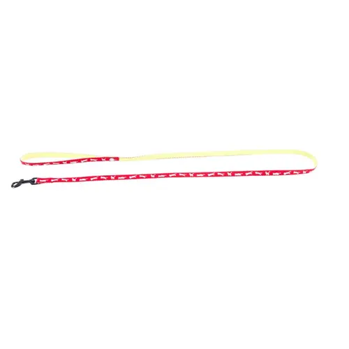 Laisse Cat Bi-color pour chat rouge - 120 cm