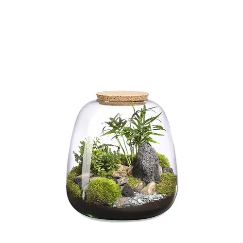 Terrarium autonome Moly Landscape botanic® - taille L