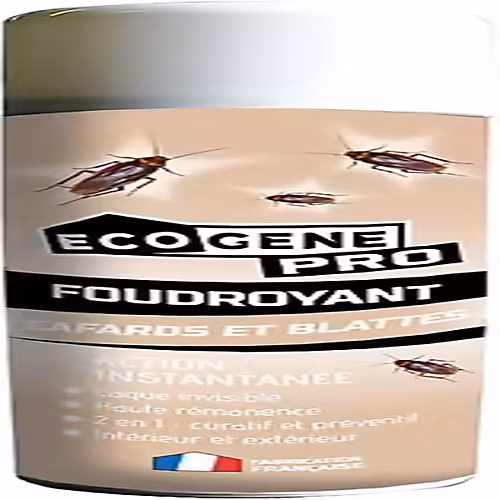 Aerosol Insecticide Anti – Blattes et Cafards 500 ml ECOGENE
