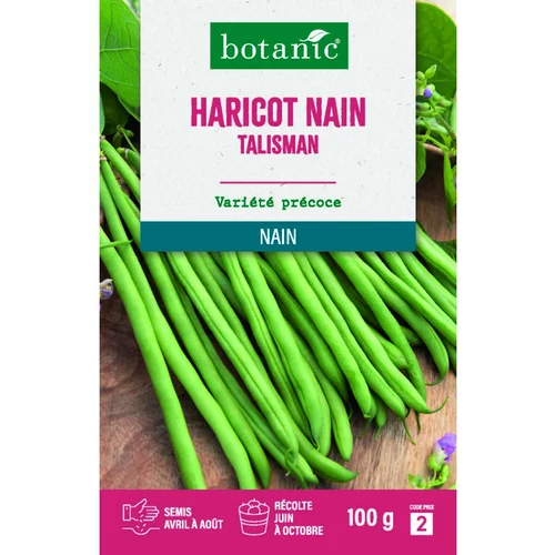 Graines de haricot nain talisman extra-fin sans fil botanic® - graines à semer 100 g