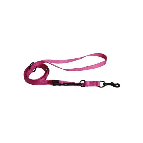 Laisse chien dressage 3pt 20mm / 200cm rose