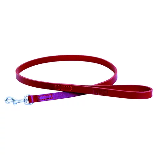 Laisse en cuir rouge à bords ronds pour chien 1,4x100 cm