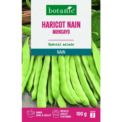 Graines d'haricot nain moncayo botanic® - graines à semer 100 g