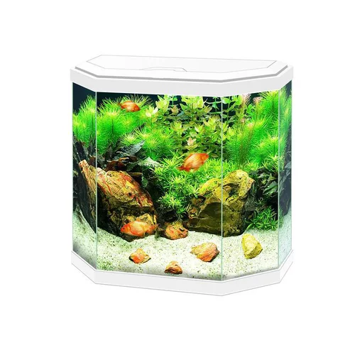 Aquarium équipé 30 Light blanc - 30L