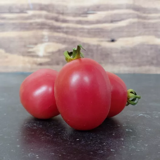 Tomate cerise rose de Podlaki | Semences bio et reproductibles