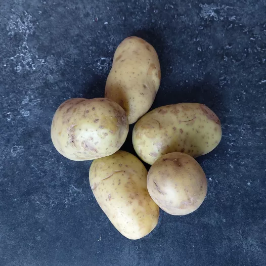 Pootgoed Goldmarie aardappel BIO - 1kg