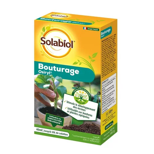 Bouturage Osyril®