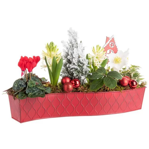 Composition de Noël fleurs en chemin de table - 40 cm