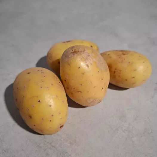Aardappel Bernadette - 1kg