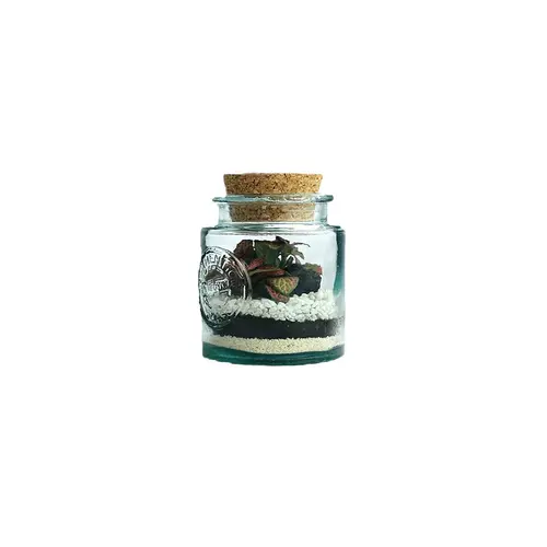 Terrarium autonome Mao M botanic® - Ø 10 x 13 cm