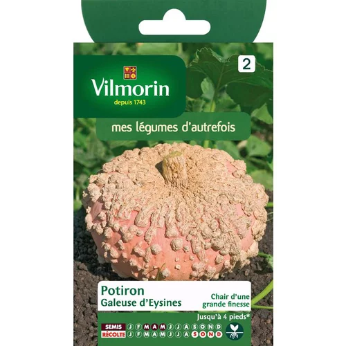 Graines de courge galeuse Vilmorin - graines à semer