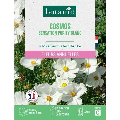 Graines de fleurs de Cosmos sensation purity blanc botanic®