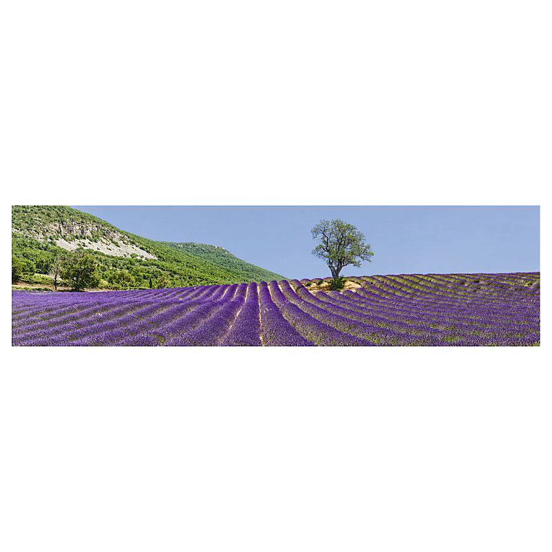 Brise vue imprimé paysage POET SIGILLAT – H.0.8 x L.3 m, 100% occultant, Made in France par Scenolia + kit de fixation offert