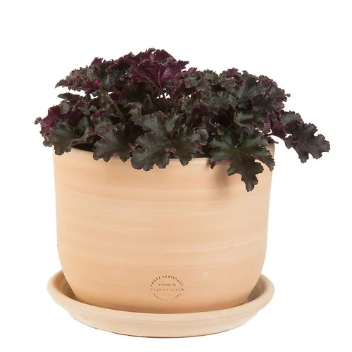 Pot Macetero terre cuite claire D26XH20