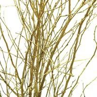 Ensemble de 5 branches de bouleau peintes en or - 70 cm