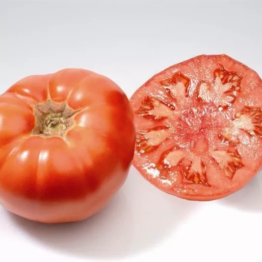 Tomate Marmande bio – Semences reproductibles