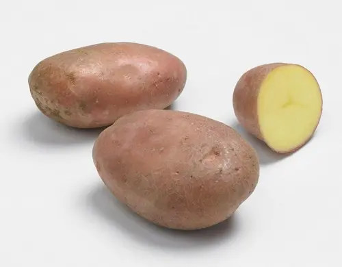 Sachet de pommes de terre rosabelle calibre 25/35 - 3 kg