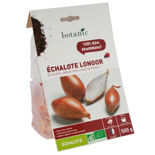 Bulbes d’échalote longue Longor AB bio calibre 15/40, 500 g