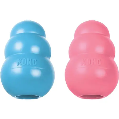 Kong Puppy M
