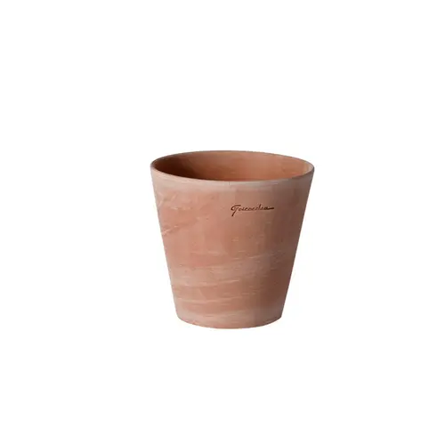 Petit cuvier rose Ø 10 cm