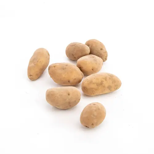 Pomme de terre Charlotte bio - Prix au kg