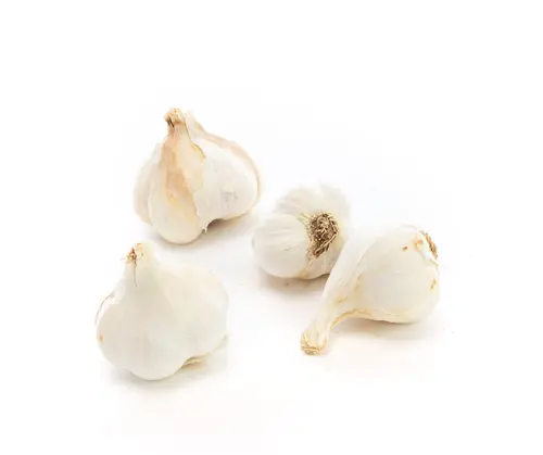 Ail bio - Prix au kg