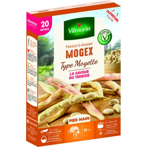 Haricot Mogex type Mogette Vilmorin - graines à semer