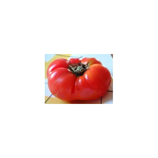 Tomate Sasha Altaï | Semences bio et reproductibles