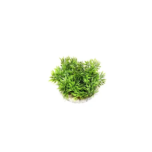 Coupe gazon vert en plastique Ø 9 cm