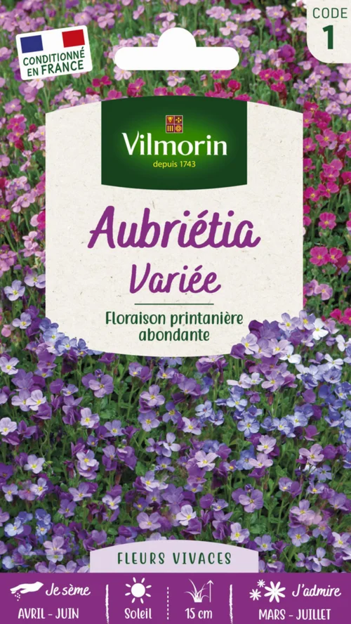 Aubrétia Variée Vilmorin - graines à semer