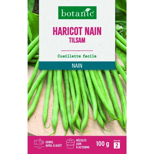 Graines d'haricot nain tilsam botanic® - graines nain semer