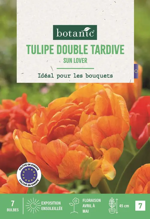 Bulbes de fleurs Tulipe double tardive Sun Lover orange botanic® - 7 bulbes